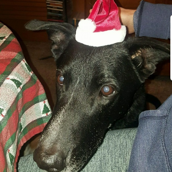 Meet your Posher, Jeremy - Picture 1 of 1